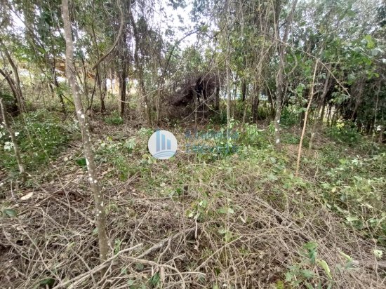 terreno-venda-rua-8-piedade-paraopeba-brumadinho-mg-cep-32499899-1041631