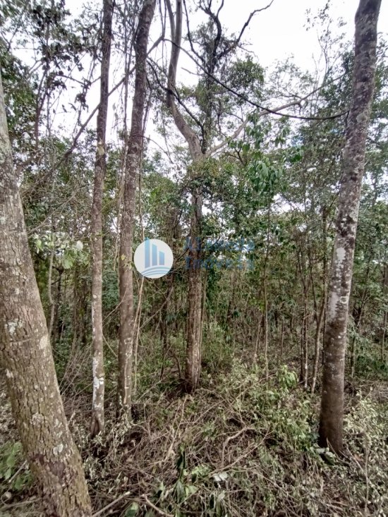 terreno-venda-rua-8-piedade-paraopeba-brumadinho-mg-cep-32499899-1041637