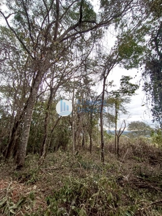 terreno-venda-rua-8-piedade-paraopeba-brumadinho-mg-cep-32499899-1041639