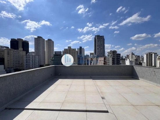 cobertura-venda-avenida-do-contorno-n-d-7542-lourdes-belo-horizonte-mg-30110048-1036841